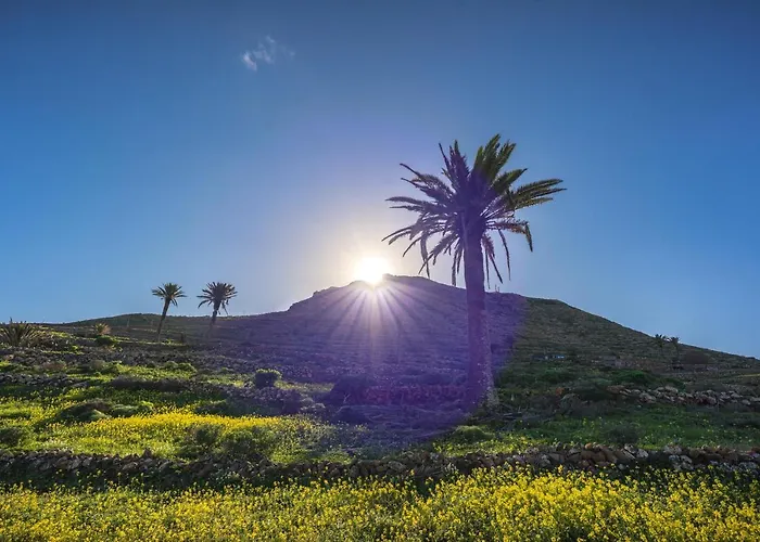 ホリデーパーク La Fuentecilla